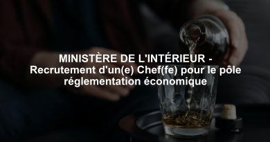 MINISTÈRE DE L'INTÉRIEUR - Recrutement d'un(e) Chef(fe) pour le pôle réglementation économique