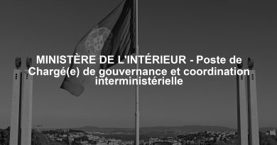 MINISTÈRE DE L'INTÉRIEUR - Poste de Chargé(e) de gouvernance et coordination interministérielle