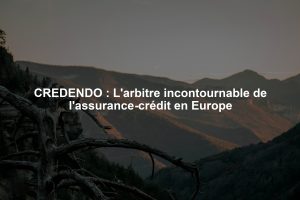 CREDENDO : L'arbitre incontournable de l'assurance-crédit en Europe
