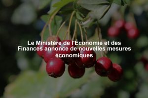 Le Ministère de l'Économie et des Finances annonce de nouvelles mesures économiques