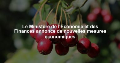 Le Ministère de l'Économie et des Finances annonce de nouvelles mesures économiques