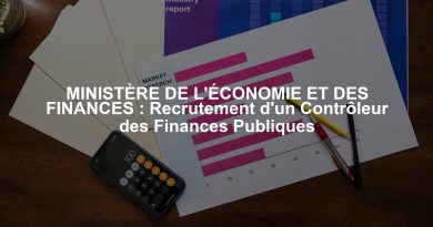 MINISTÈRE DE L'ÉCONOMIE ET DES FINANCES : Recrutement d'un Contrôleur des Finances Publiques