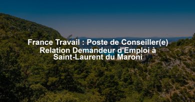 France Travail : Poste de Conseiller(e) Relation Demandeur d'Emploi à Saint-Laurent du Maroni