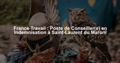 France Travail : Poste de Conseiller(e) en Indemnisation à Saint-Laurent du Maroni