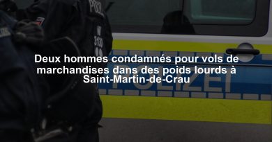 Deux hommes condamnés pour vols de marchandises dans des poids lourds à Saint-Martin-de-Crau