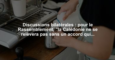 Discussions bilatérales : pour le Rassemblement, "la Calédonie ne se relèvera pas sans un accord qui fédère"