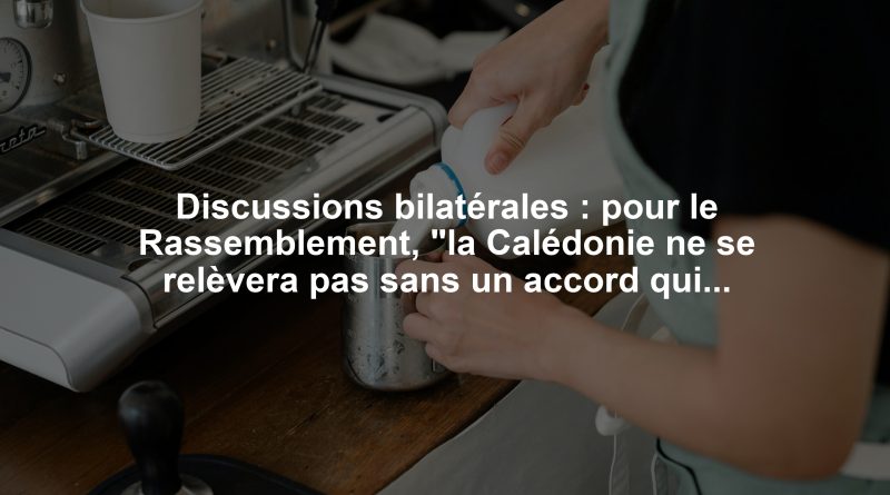 Discussions bilatérales : pour le Rassemblement, "la Calédonie ne se relèvera pas sans un accord qui fédère"