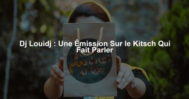 Dj Louidj : Une Émission Sur le Kitsch Qui Fait Parler