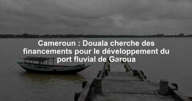 Cameroun : Douala cherche des financements pour le développement du port fluvial de Garoua