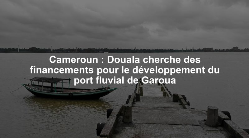 Cameroun : Douala cherche des financements pour le développement du port fluvial de Garoua