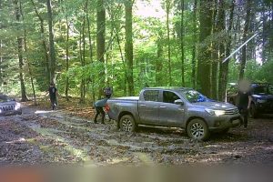 Chemins de forêt saccagés par des 4x4 : des riverains évoquent un "Paris-Dakar"
