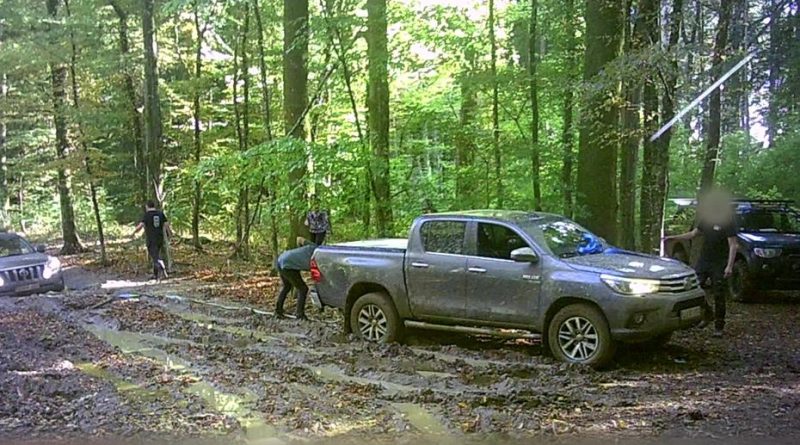 Chemins de forêt saccagés par des 4x4 : des riverains évoquent un "Paris-Dakar"