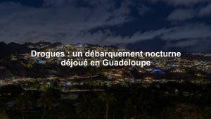 Drogues : un débarquement nocturne déjoué en Guadeloupe