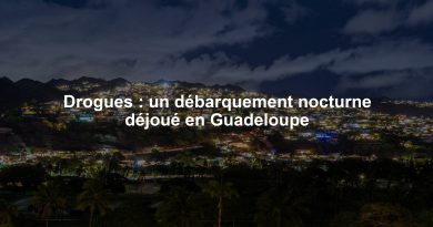 Drogues : un débarquement nocturne déjoué en Guadeloupe