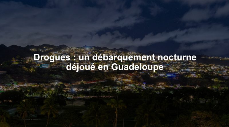 Drogues : un débarquement nocturne déjoué en Guadeloupe