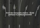 Droit des transports aériens : Guide pratique et juridique essentiel
