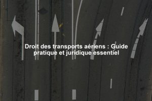 Droit des transports aériens : Guide pratique et juridique essentiel