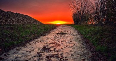 Météo de samedi en Belgique : prévisions de temps gris et pluvieux