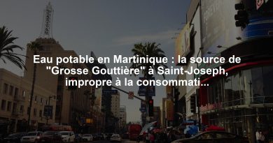 Eau potable en Martinique : la source de "Grosse Gouttière" à Saint-Joseph, impropre à la consommation... un panneau dégradé indique le contraire