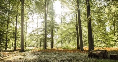 Rapport : la Belgique accuse un retard dans sa transition climatique, bilan peu encourageant