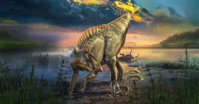 Découverte d'une momie de dinosaure avec des sabots et une crête cachée