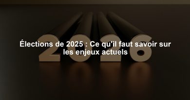 Élections de 2025 : Ce qu'il faut savoir sur les enjeux actuels