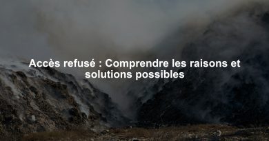Accès refusé : Comprendre les raisons et solutions possibles