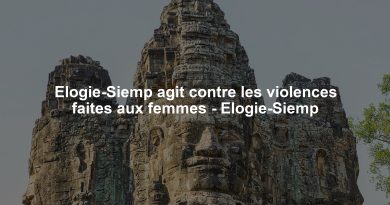 Elogie-Siemp agit contre les violences faites aux femmes - Elogie-Siemp