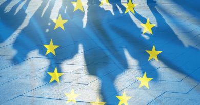 L'Union européenne : actions en matière d'emploi et de protection sociale