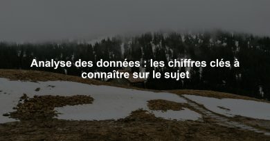 Analyse des données : les chiffres clés à connaître sur le sujet