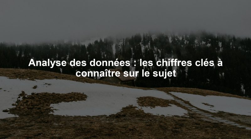 Analyse des données : les chiffres clés à connaître sur le sujet