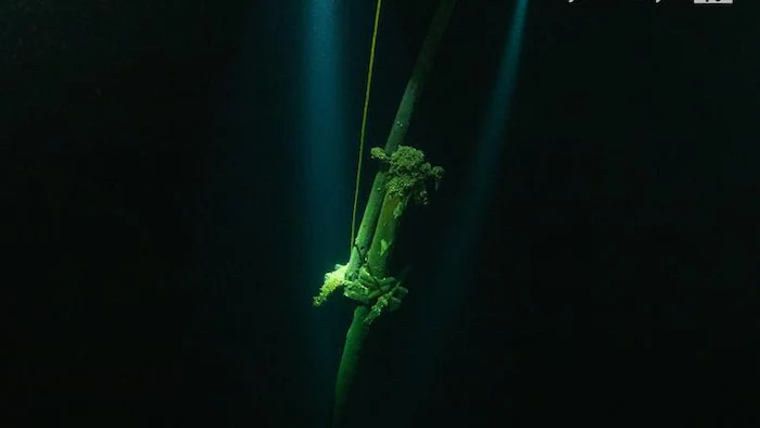 Les deux mâts en bois sont visibles dans la noirceur des eaux profondes.