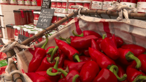Pays basque : le piment d'Espelette, trésor culinaire et culture locale