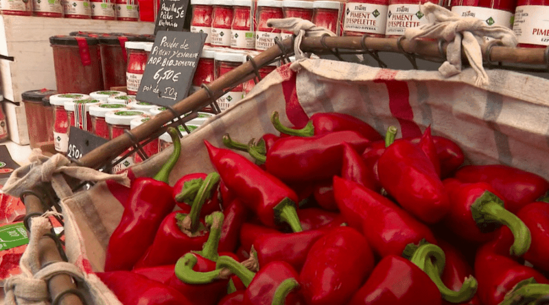 Pays basque : le piment d'Espelette, trésor culinaire et culture locale