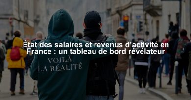 État des salaires et revenus d’activité en France : un tableau de bord révélateur