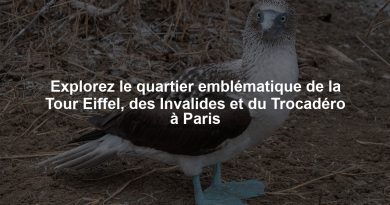 Explorez le quartier emblématique de la Tour Eiffel, des Invalides et du Trocadéro à Paris