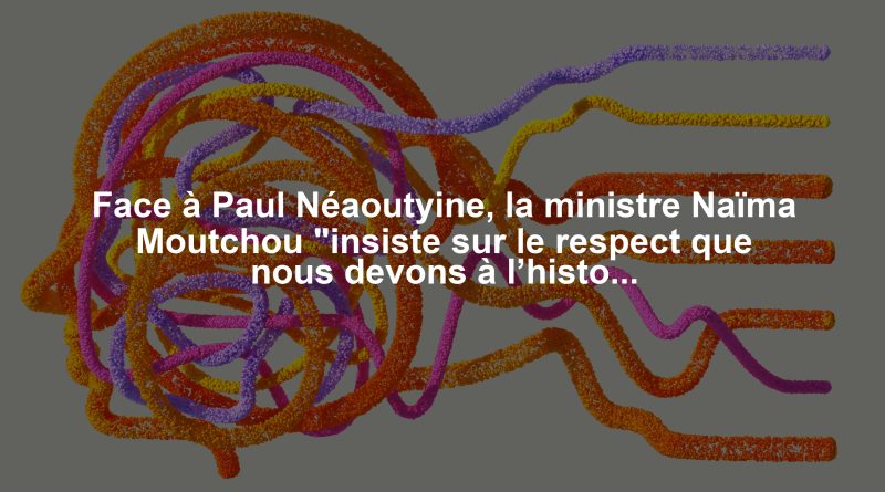 Face à Paul Néaoutyine, la ministre Naïma Moutchou "insiste sur le respect que nous devons à l’histoire"