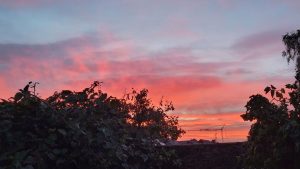 Météo en Belgique : pluie samedi et averses dimanche selon RTBF Actus