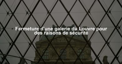 Fermeture d'une galerie du Louvre pour des raisons de sécurité