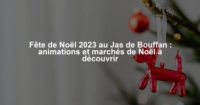 Fête de Noël 2023 au Jas de Bouffan : animations et marchés de Noël à découvrir
