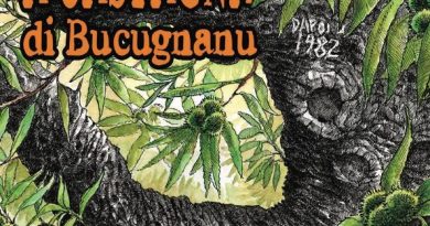 Fiera di a Castagna à Bocognano : Événement incontournable du tourisme en Celavu-Prunelli