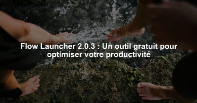 Flow Launcher 2.0.3 : Un outil gratuit pour optimiser votre productivité