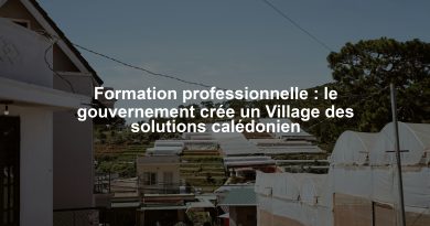 Formation professionnelle : le gouvernement crée un Village des solutions calédonien
