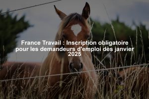 France Travail : Inscription obligatoire pour les demandeurs d'emploi dès janvier 2025