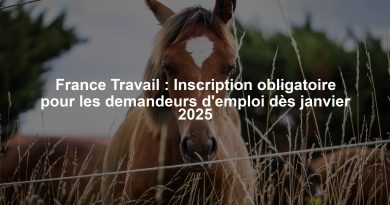 France Travail : Inscription obligatoire pour les demandeurs d'emploi dès janvier 2025