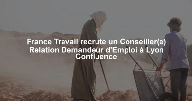 France Travail recrute un Conseiller(e) Relation Demandeur d'Emploi à Lyon Confluence