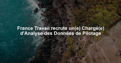 France Travail recrute un(e) Chargé(e) d'Analyse des Données de Pilotage