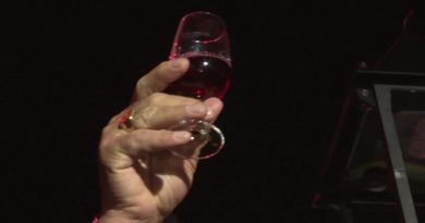Beaujolais nouveau 2023 : une année marquée par une faible quantité mais une belle qualité