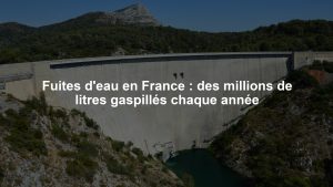 Fuites d'eau en France : des millions de litres gaspillés chaque année