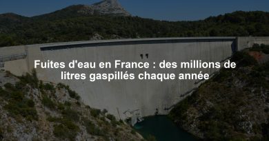 Fuites d'eau en France : des millions de litres gaspillés chaque année